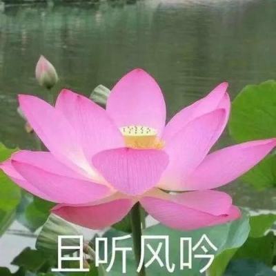 工行广东分行原行长黄明祥被开除党籍，已有4任工银国际董事长被查